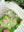 Lotus Pond Reverie